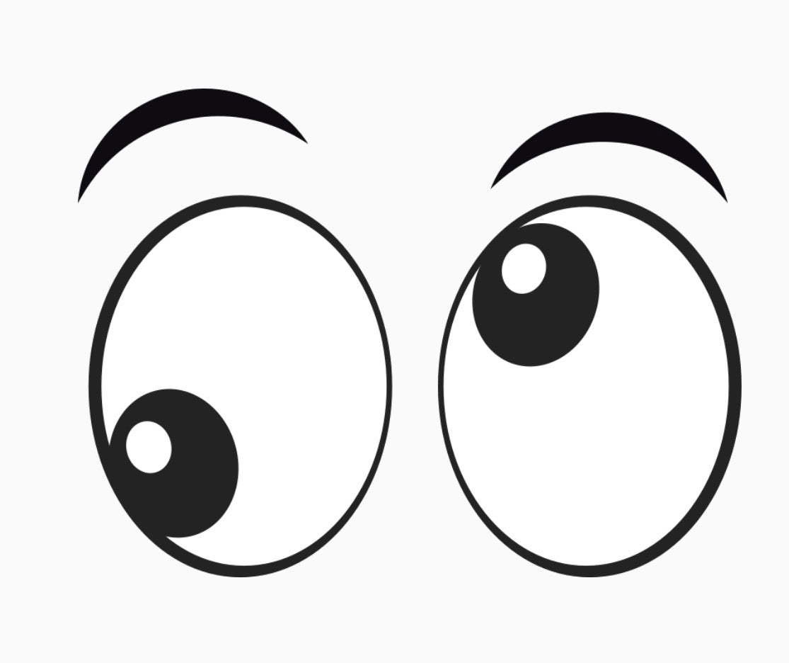 Life Laughs & Survival Guides