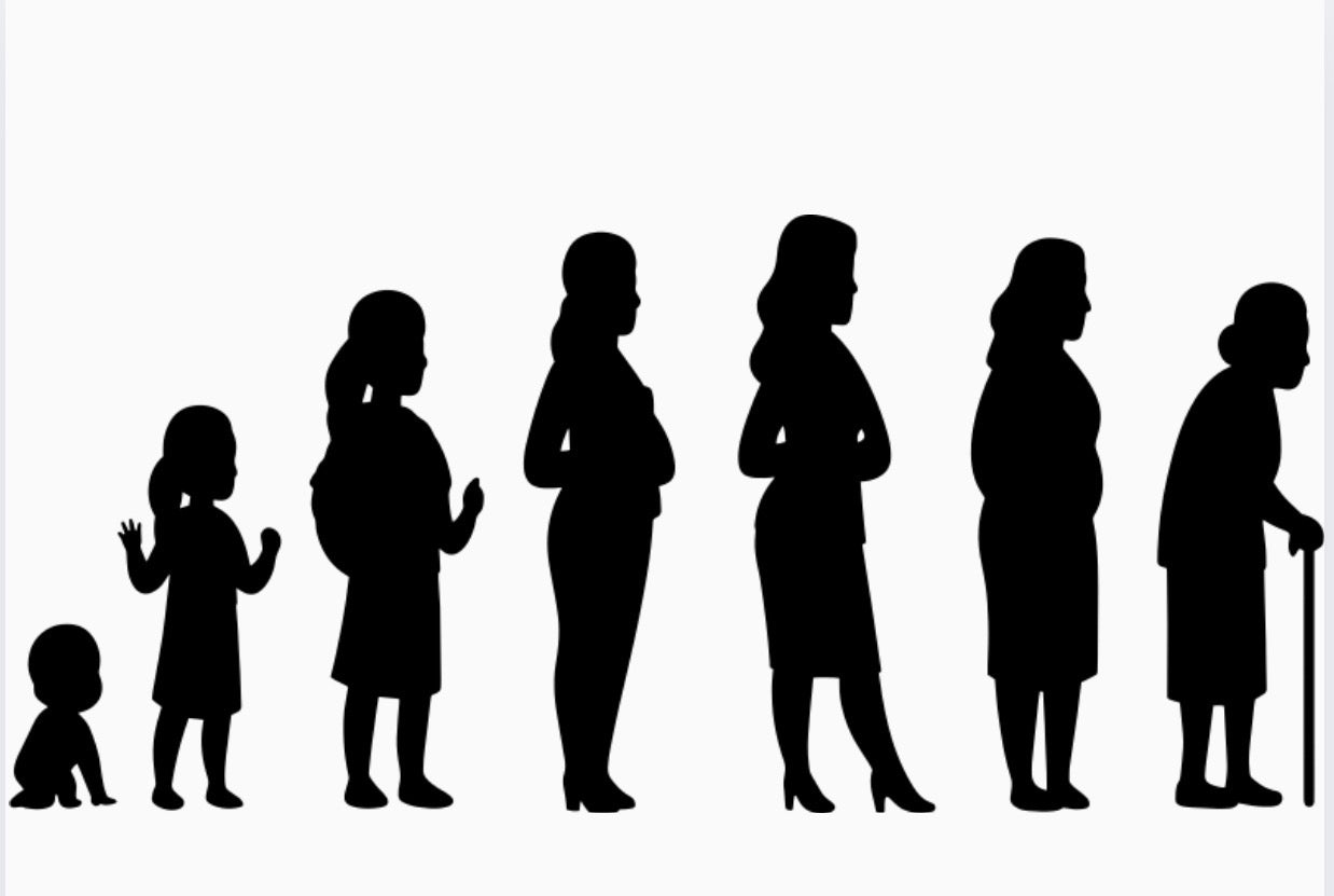 Aging Laughs & Survival Guides